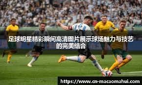 重要若无明